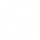 WHATSAPP WSO55